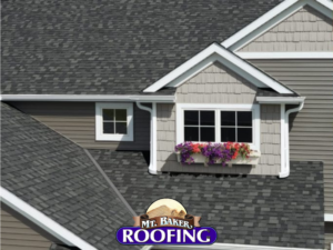 The IKO Roofing Products